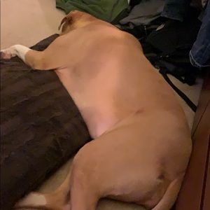 Meet your Posher, Bilal